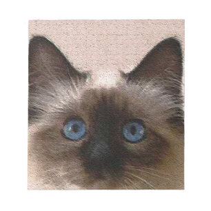 Knisternaltes der siamesischen Katze gebrochenes Notizblock