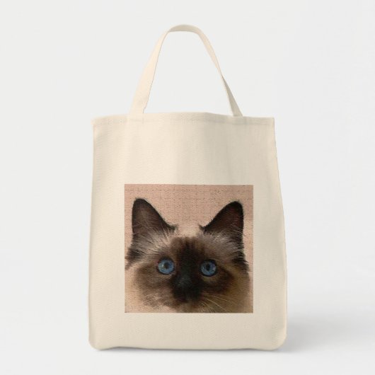 Knisternaltes der siamesischen Katze gebrochenes Tragetasche (Vorne)