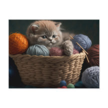 Knitting Cat Postcard