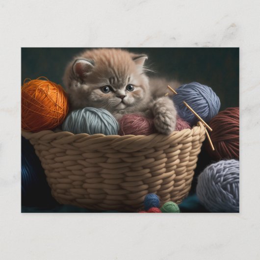 Knitting Cat Postcard Postkarte (Vorderseite)