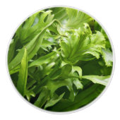 Knob - Fischschwanz Fern Keramikknauf (Vorderseite)