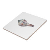 Knobbed Pustel-Muschel Fliese (Seite)