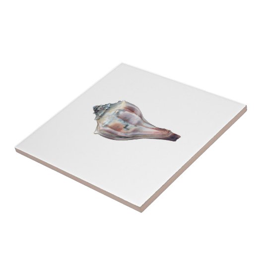 Knobbed Pustel-Muschel Fliese (Seite)