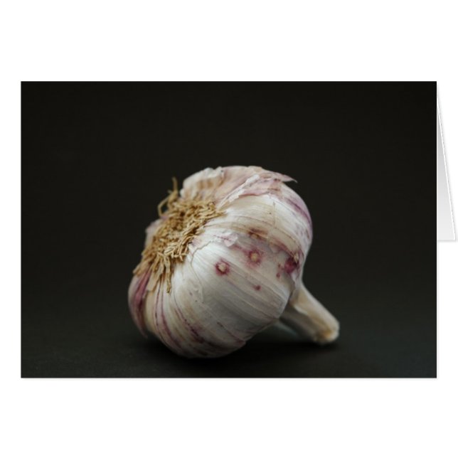 Knoblauch (Vorderseite (Horizontal))