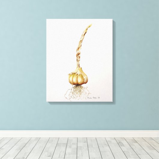 Knoblauch 1998 leinwanddruck (Insitu (Holzboden))