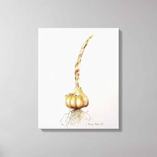 Knoblauch 1998 leinwanddruck (Vorderseite)