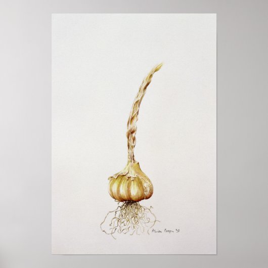 Knoblauch 1998 poster (Vorne)