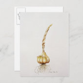 Knoblauch 1998 postkarte (Vorne/Hinten)