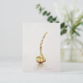 Knoblauch 1998 postkarte (Stehend Vorderseite)