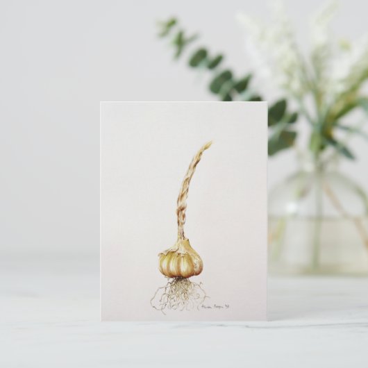 Knoblauch 1998 postkarte (Stehend Vorderseite)