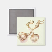 Knoblauch 2005 magnet (Vorderseite/Rückseite)