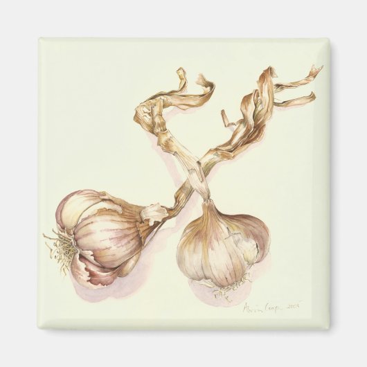 Knoblauch 2005 magnet (Vorne)