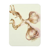 Knoblauch 2005 magnet (Vertikal)