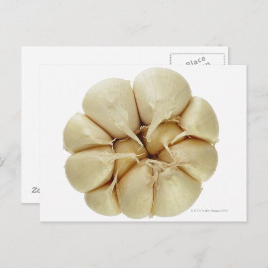Knoblauch abgeschieden auf weißem Hintergrund, DFF Postkarte (Vorne/Hinten)