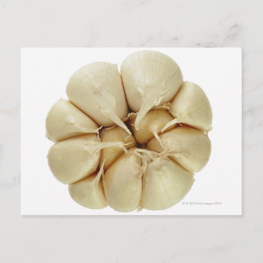 Knoblauch abgeschieden auf weißem Hintergrund, DFF Postkarte (Vorderseite)