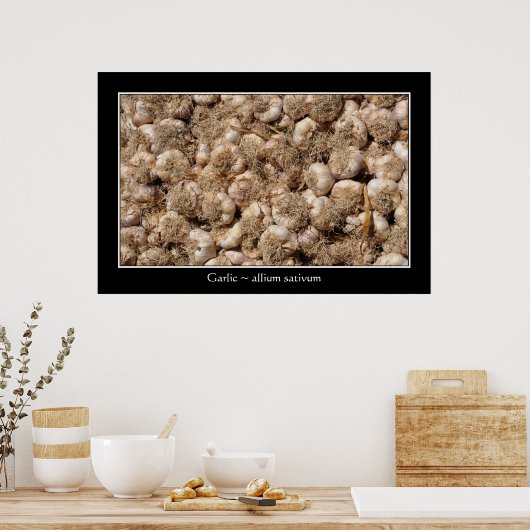 Knoblauch auf französischem Marktplakat Poster (Küche)