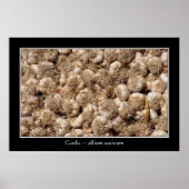 Knoblauch auf französischem Marktplakat Poster (Vorne)