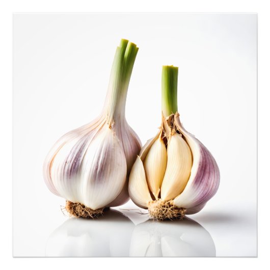 Knoblauch Fotodruck (Vorne)