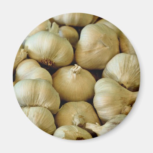 Knoblauch, frisch magnet (Vorne)
