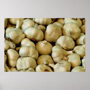 Knoblauch, frisch poster