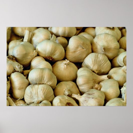 Knoblauch, frisch poster (Vorne)