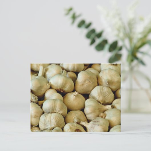 Knoblauch, frisch postkarte (Stehend Vorderseite)