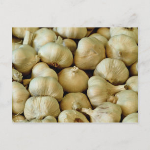 Knoblauch, frisch postkarte
