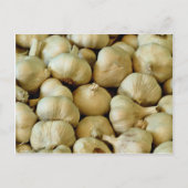 Knoblauch, frisch postkarte (Vorderseite)