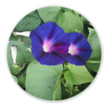 Knoblauch für benutzerdefinierte Keramiken mit Blu