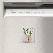 Knoblauch Magnet (In Situ (Geschirrspüler))