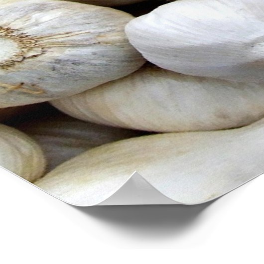 Knoblauch Poster (Ecke)