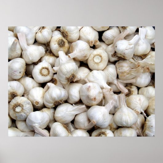 Knoblauch Poster (Vorne)