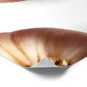 Knoblauch Poster (Ecke)