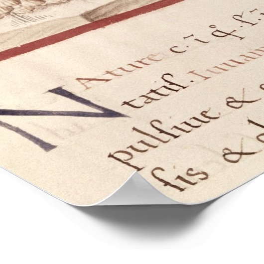 Knoblauch Poster (Ecke)