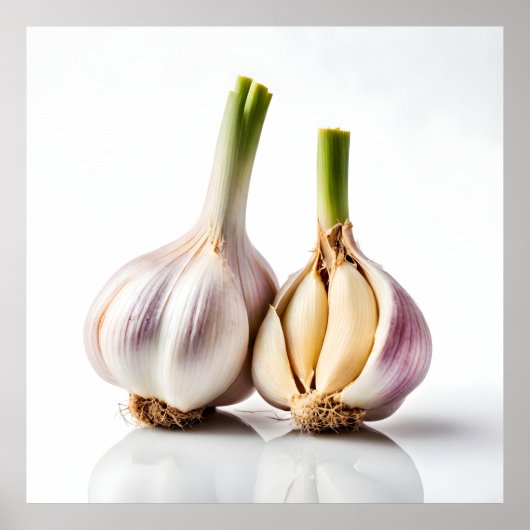 Knoblauch Poster (Vorne)
