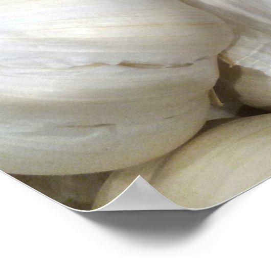 Knoblauch Poster (Ecke)