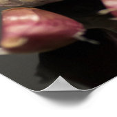 Knoblauch Poster (Ecke)