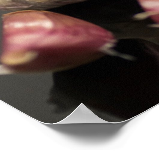 Knoblauch Poster (Ecke)