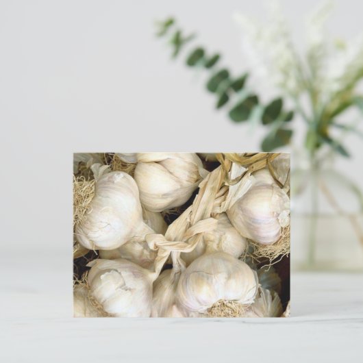 Knoblauch Postkarte (Stehend Vorderseite)