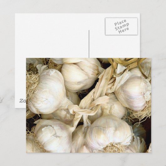 Knoblauch Postkarte (Vorne/Hinten)