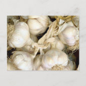 Knoblauch Postkarte (Vorderseite)