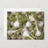 Knoblauch Postkarte (Vorne/Hinten)