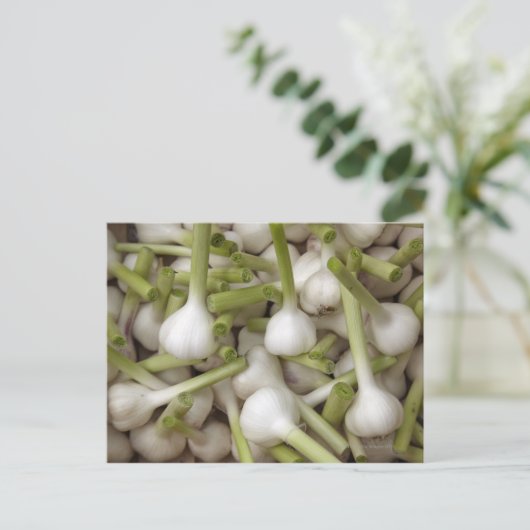 Knoblauch Postkarte (Stehend Vorderseite)