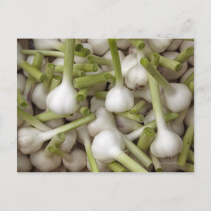Knoblauch Postkarte
