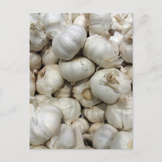 Knoblauch Postkarte (Vorderseite)