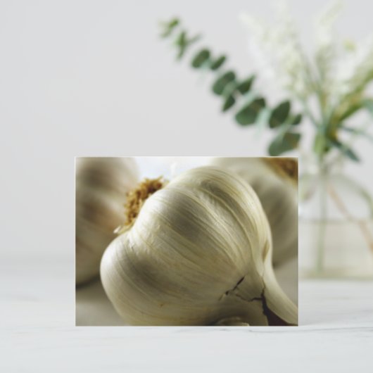 Knoblauch Postkarte (Stehend Vorderseite)