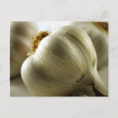 Knoblauch Postkarte (Vorderseite)