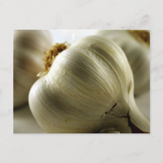 Knoblauch Postkarte (Vorderseite)
