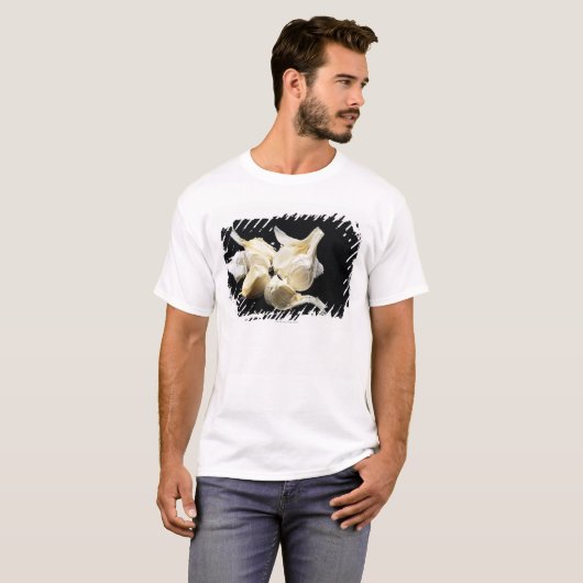Knoblauch T-Shirt (Vorne ganz)