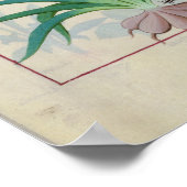 Knoblauch und andere Pflanze Poster (Ecke)